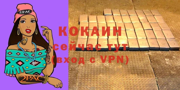 шишки Пересвет
