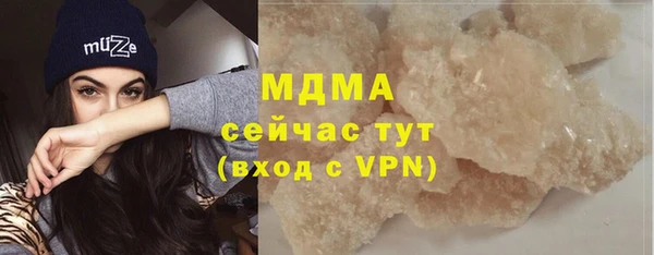 шишки Пересвет