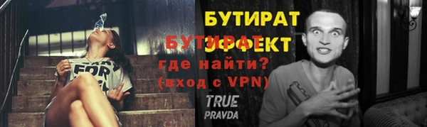 шишки Пересвет