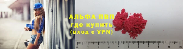 шишки Пересвет