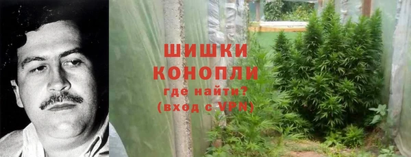 шишки Пересвет
